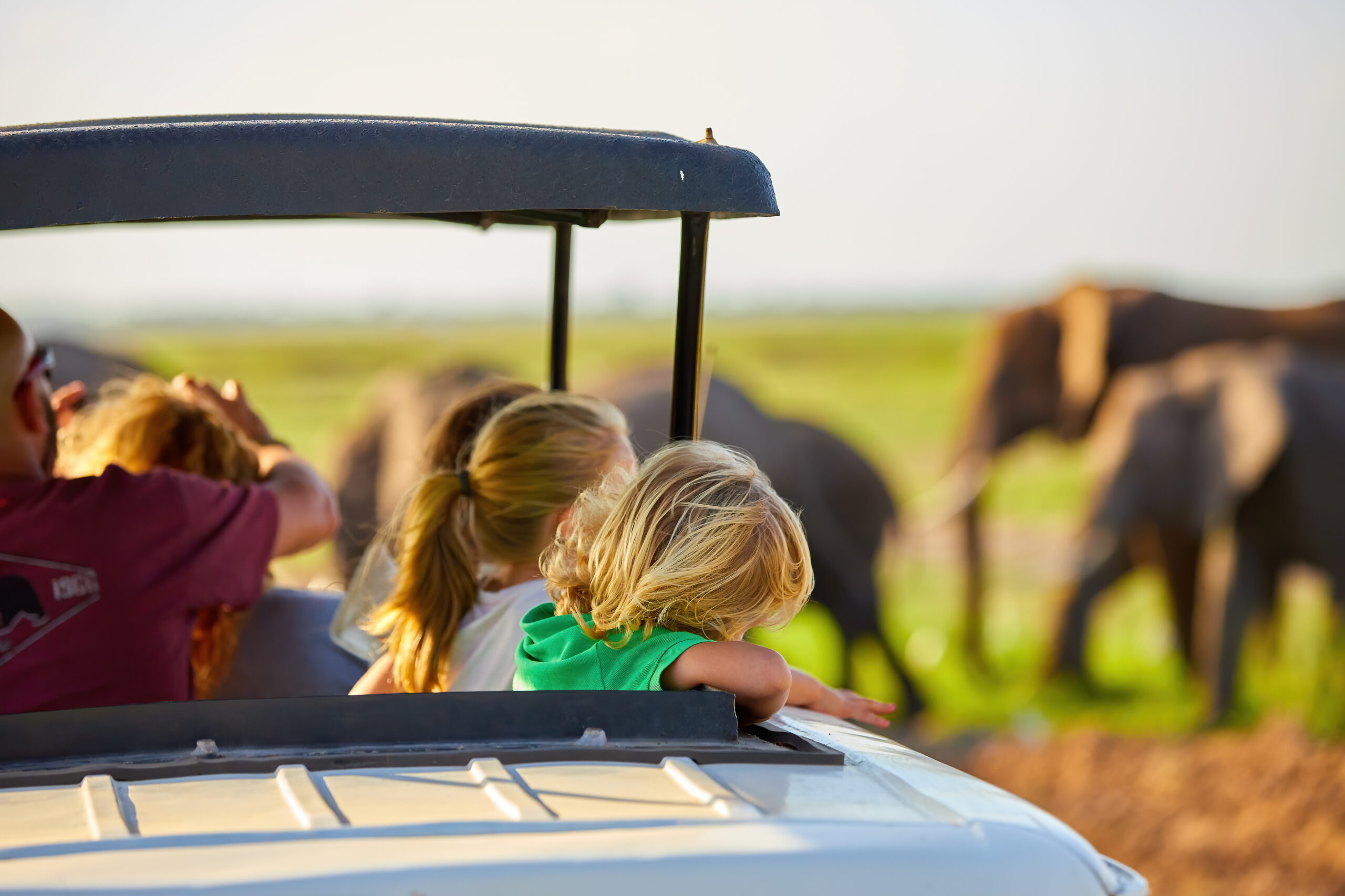 Safari en famille