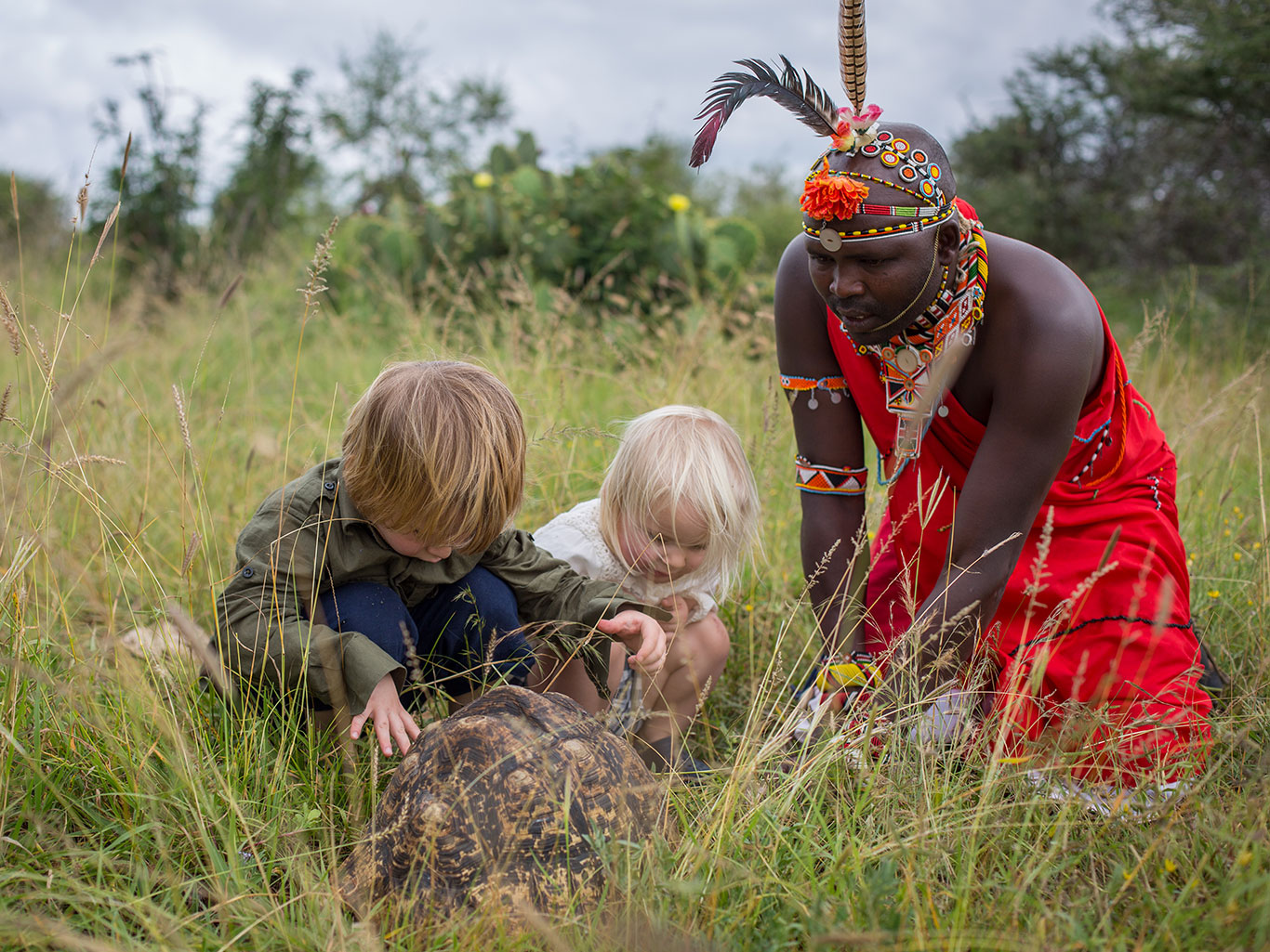 Elewana